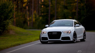 White car road forest sunny - the car free wallpaper