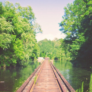 Wooden bridge river trees bushes - river free wallpaper