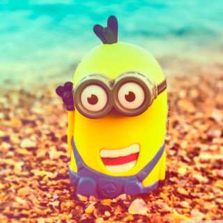 Yellow toy glasses beach rocks - a beach free wallpaper