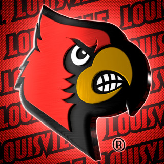 Red black bird smiling background - bird free wallpaper