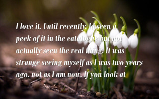 Flowers quote beatrixpotter awe depthofield - beatrix potter free wallpaper