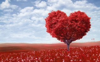 Heart shaped tree field flowers 9 - a heart free wallpaper