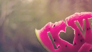 Pink flower love word middle - the middle of the picture free wallpaper