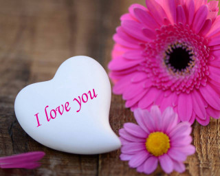 Heart box pink flower love 2 - box free wallpaper