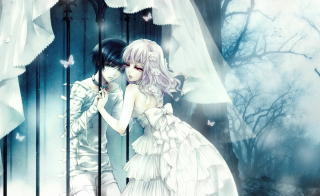 Couple people grass umbrella dress - a couple of people free wallpaper for desktop