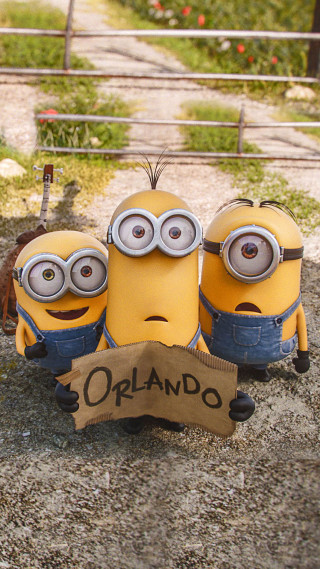 Minions cardboard box orlando sign - incoherent free wallpaper