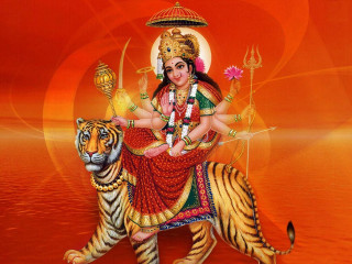 Woman tiger sword flower painting - a painting of a woman free wallpaper