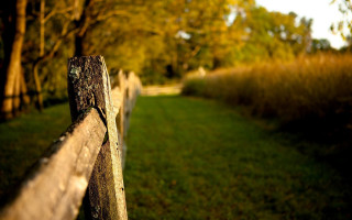 Wooden fence grassy field trees - the background and grass free wallpaper