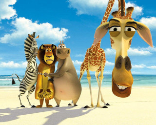 Cartoon animals beach ocean zebra 3 - a group of cartoon animals free wallpaper
