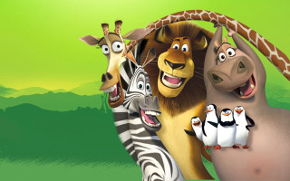 Animals grass zebra giraffe group - a group of animals free wallpaper
