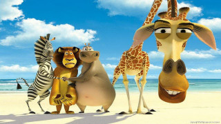 Cartoon animals beach ocean zebra 4 - a group of cartoon animals free wallpaper