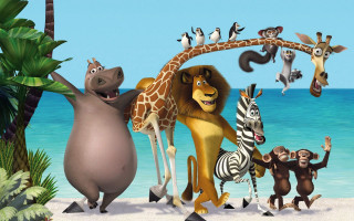 Animals beach ocean zebra giraffe - top of a beach next free wallpaper