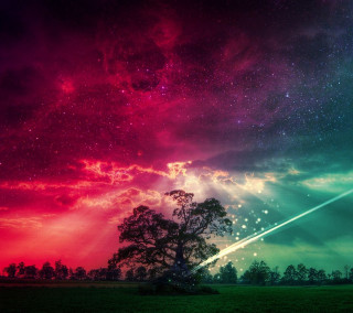 Colorful sky tree shooting star 2 - a matte painting free wallpaper
