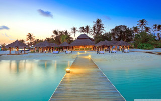 Dock beach restaurant sunset palm 2 - sunset free wallpaper