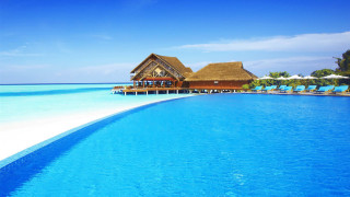 Resort pool beach bar umbrellas - a resort free wallpaper