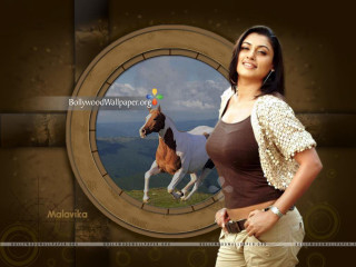 Woman horse brown white background - a screenshot free wallpaper for desktop