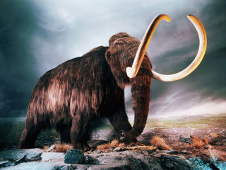 Woolly mammoth rocky surface curved - a dark sky in the background free wallpaper