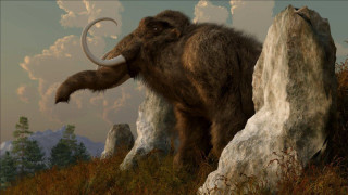 Wooly mammoth rocky hillside cloudy - a rocky hillside free wallpaper