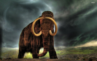 Mammoth field cloudy sky storm 2 - a green field below free wallpaper