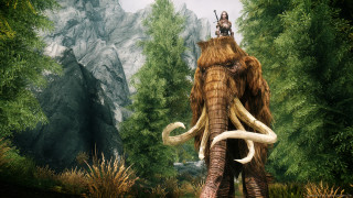 Man riding elephant forest trees - amédée ozenfant free wallpaper