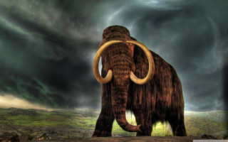 Mammoth field cloudy sky storm 3 - a green field below free wallpaper