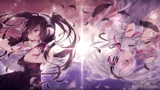 Woman long hair feathers flying - long hair and a dress free wallpaper