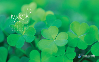 Calendar shamrocks march 2013 green - a calendar free wallpaper