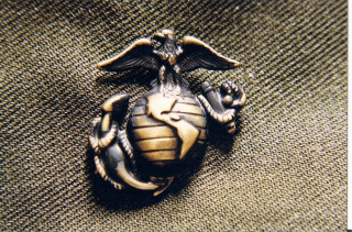 Marine emblem eagle hologram gold - a green cloth free wallpaper