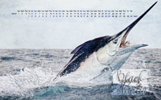 Large white marlin jumping fishing - a fishing rod free wallpaper
