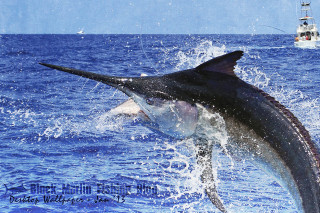 Large fish jumping water boat - a boat in the background free wallpaper