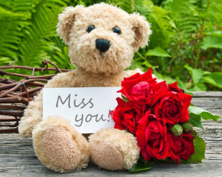 Teddy bear miss you bouquet - a teddy bear holding free wallpaper