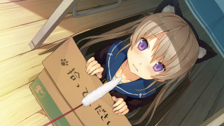 Girl purple eyes box knife - her hand and a cat free wallpaper