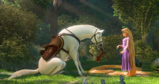 Woman dress horse forest man - a horse and a man free wallpaper