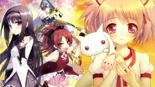 Anime girls holding cat together - holding free wallpaper