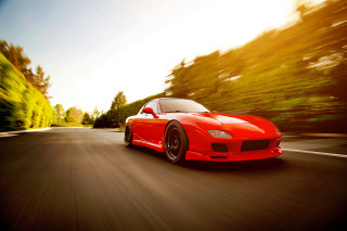 Red sports car road trees 6 - a red sports car free wallpaper