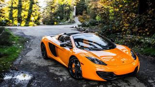 Bright orange sports car parked 7 - a forest in the background free wallpaper