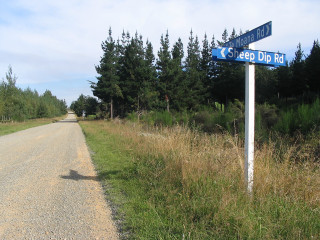 Street sign dirt road forest - a cloudy day free wallpaper