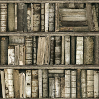 Bookshelf filled with books on - a storybook illustration free wallpaper