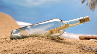Message bottle beach palm tree - a palm tree in the background free wallpaper