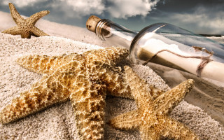 Bottle starfish beach sand seashell - a starfish free wallpaper