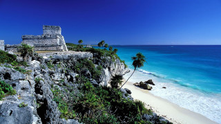 Beach castle ocean palm tree 2 - the shore free wallpaper