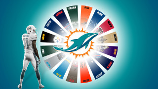 Football player wheel colors dolphins - cleve gray free wallpaper