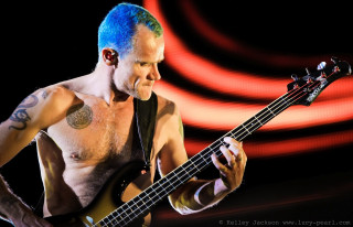 Blue haired man playing bass - david lazar free wallpaper