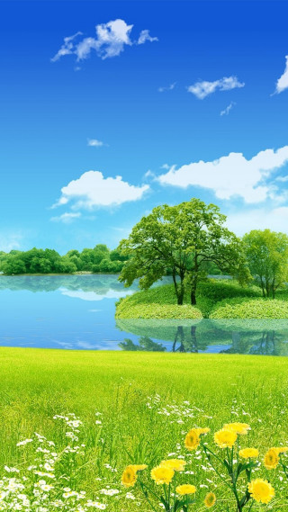 Green field flowers lake blue - beautiful landscape free wallpaper