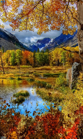 Lake trees mountains fall leaves - impressionist free wallpaper
