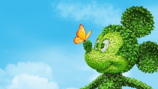 Green cartoon character butterfly head - a blue sky background free wallpaper