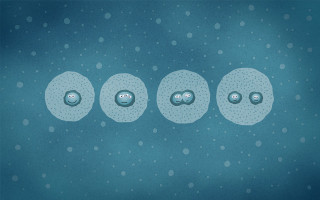 Bubbles floating air blue background 3 - illustration free wallpaper