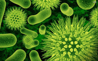Green cell nested cell inside - biopunk free wallpaper