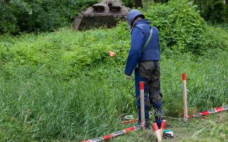 Man blue jacket forest hill - carl gustaf pilo free wallpaper