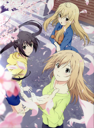 Anime girls tree pink flowers 8 - a teddy bear free wallpaper